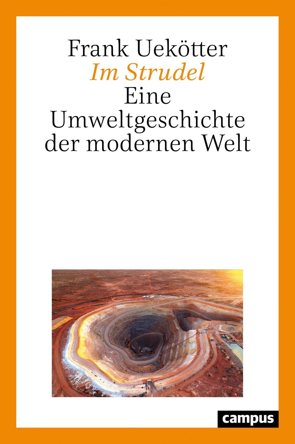 Cover: 9783593513157 | Im Strudel | Eine Umweltgeschichte der modernen Welt | Frank Uekötter