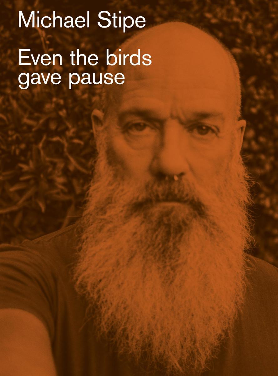 Cover: 9788862088145 | Michael Stipe: Even the birds gave pause | Michael Stipe | Buch | 2024