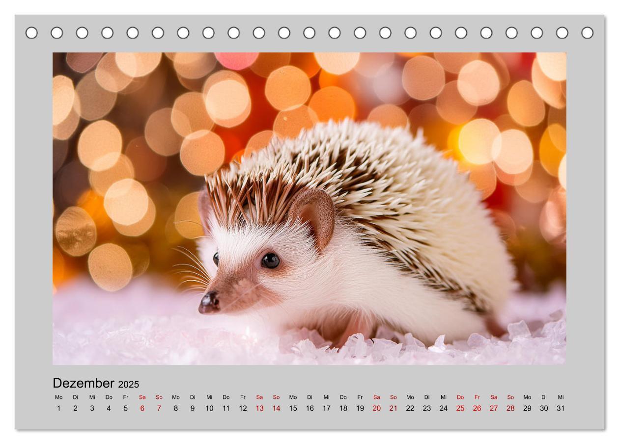 Bild: 9783435516230 | Mein Igel-Kalender (Tischkalender 2025 DIN A5 quer), CALVENDO...