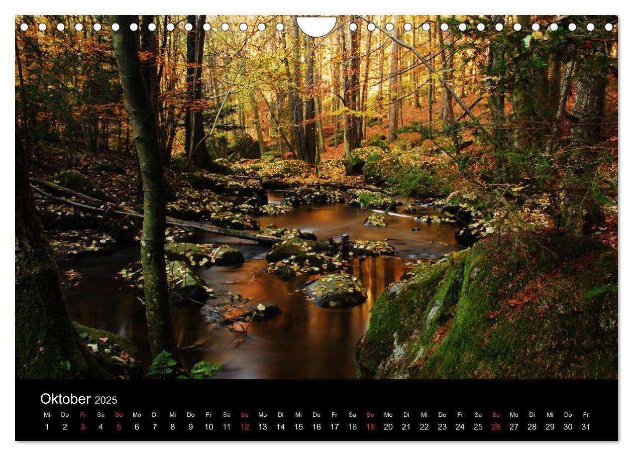 Bild: 9783435520114 | Zauberhafter Bayerischer Wald (Wandkalender 2025 DIN A4 quer),...