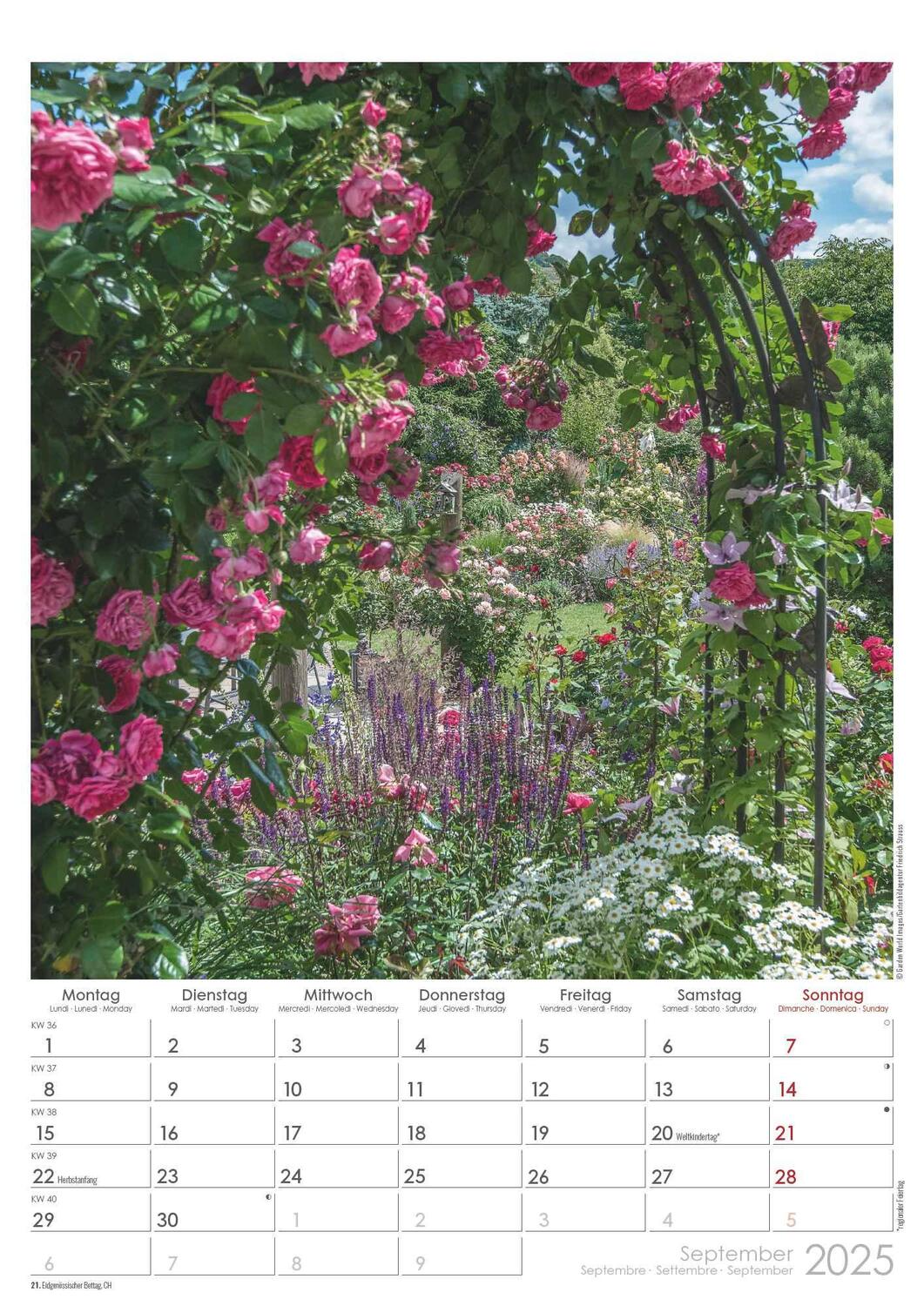 Bild: 4251732342005 | Traumgärten 2025 - Bildkalender A3 (29,7x42 cm) - Beautiful Gardens...