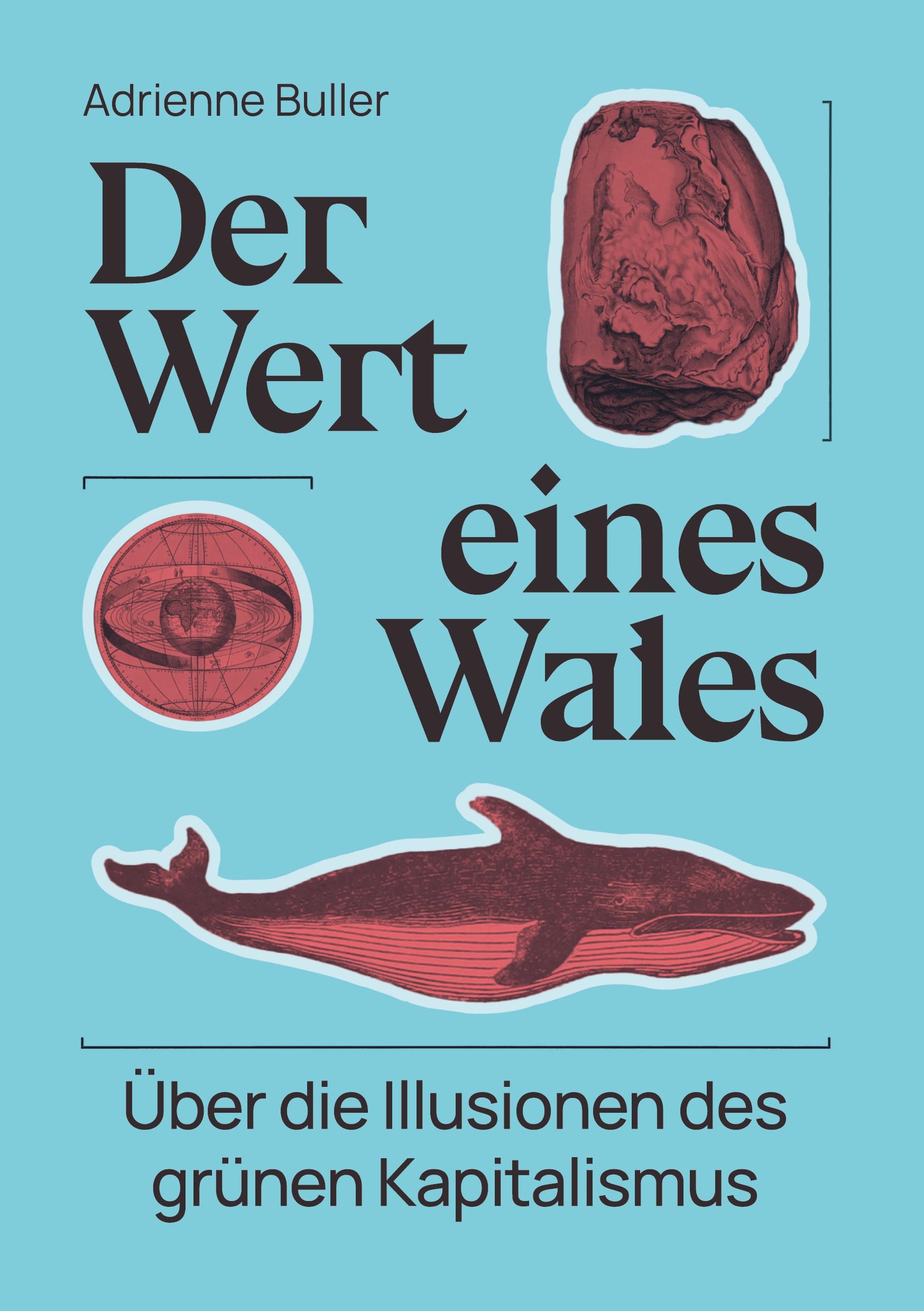 Cover: 9783910500037 | Der Wert eines Wales | Über die Illusionen des grünen Kapitalismus