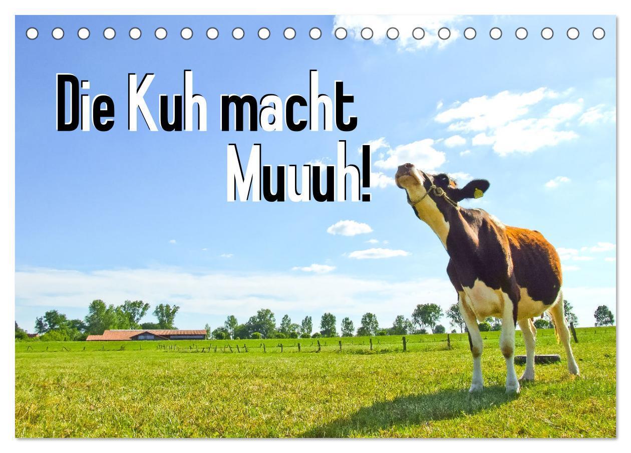 Cover: 9783675627604 | Die Kuh macht Muuuh! (Tischkalender 2024 DIN A5 quer), CALVENDO...