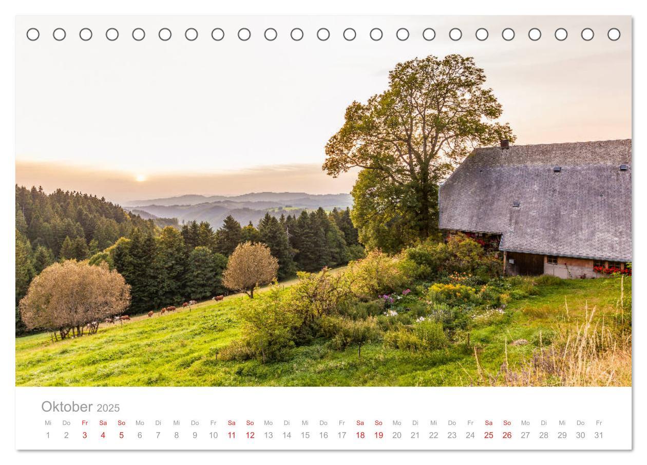 Bild: 9783435298167 | Der Schwarzwald Impressionen (Tischkalender 2025 DIN A5 quer),...