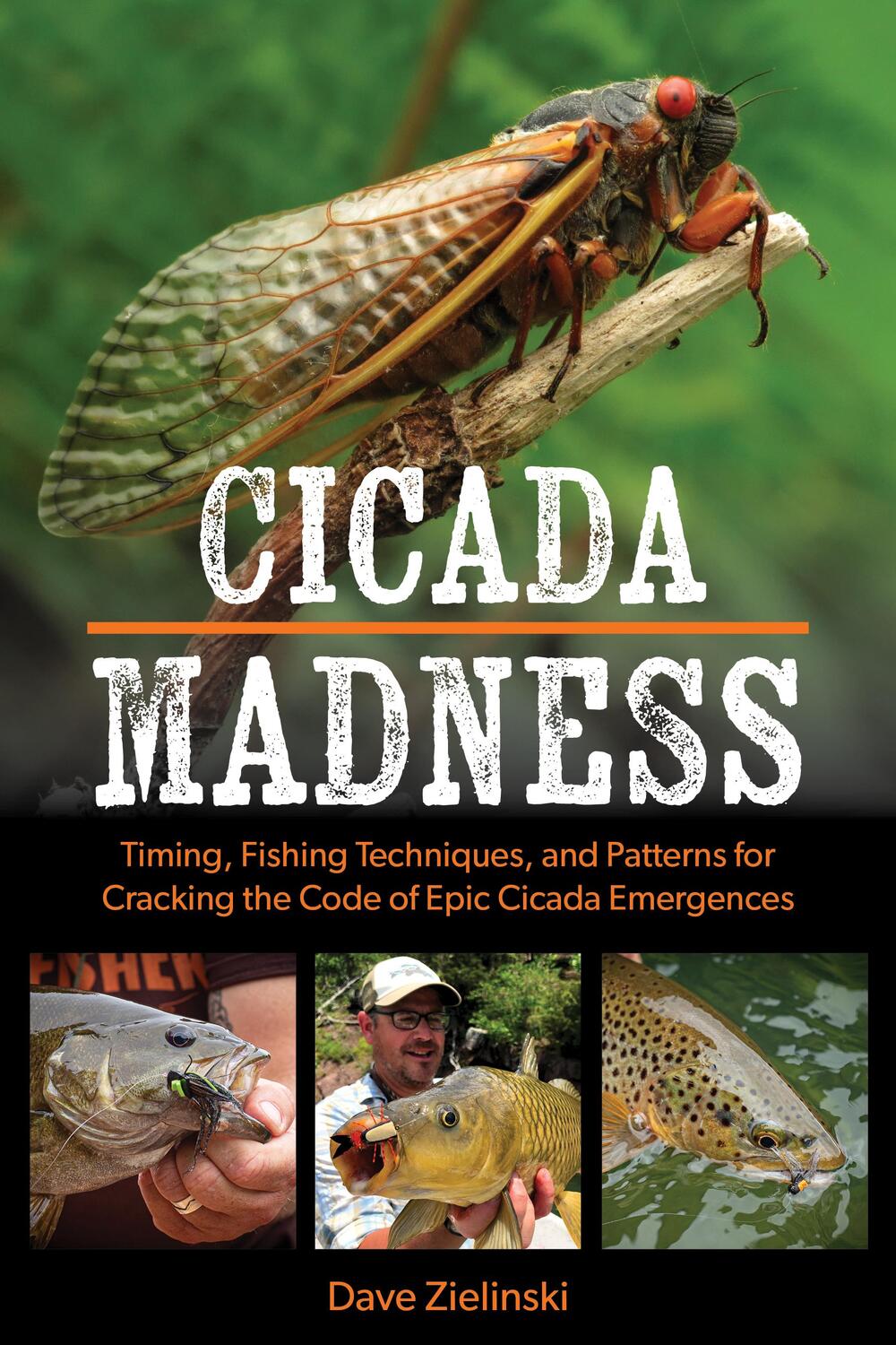 Cover: 9780811771825 | Cicada Madness | Dave Zielinski | Taschenbuch | 2023 | Stackpole Books