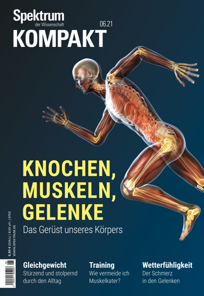 Cover: 9783958925120 | Spektrum Kompakt - Knochen, Muskeln, Gelenke | Wissenschaft | Buch