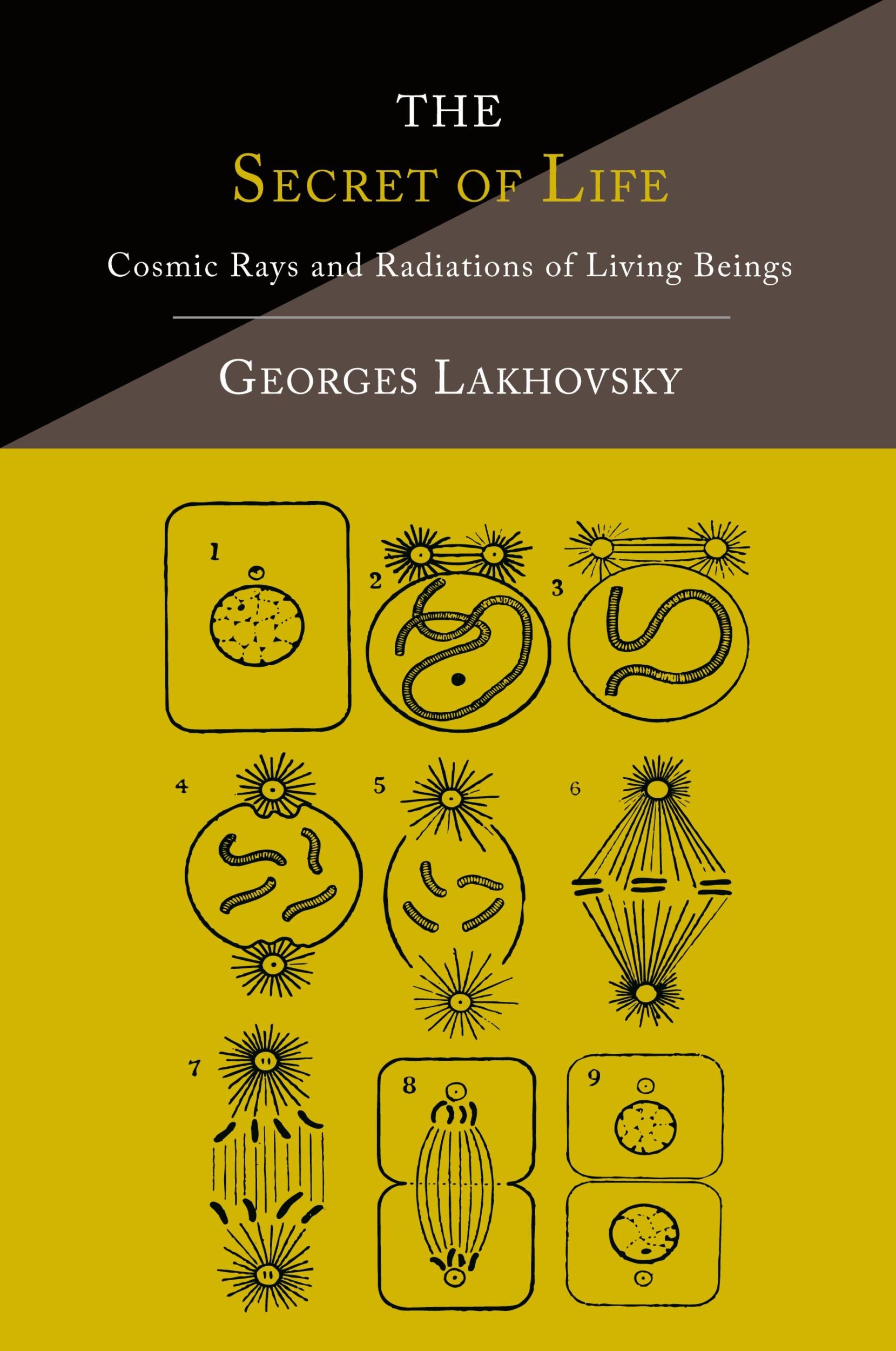 Cover: 9781614275077 | The Secret of Life | Cosmic Rays and Radiations of Living Beings