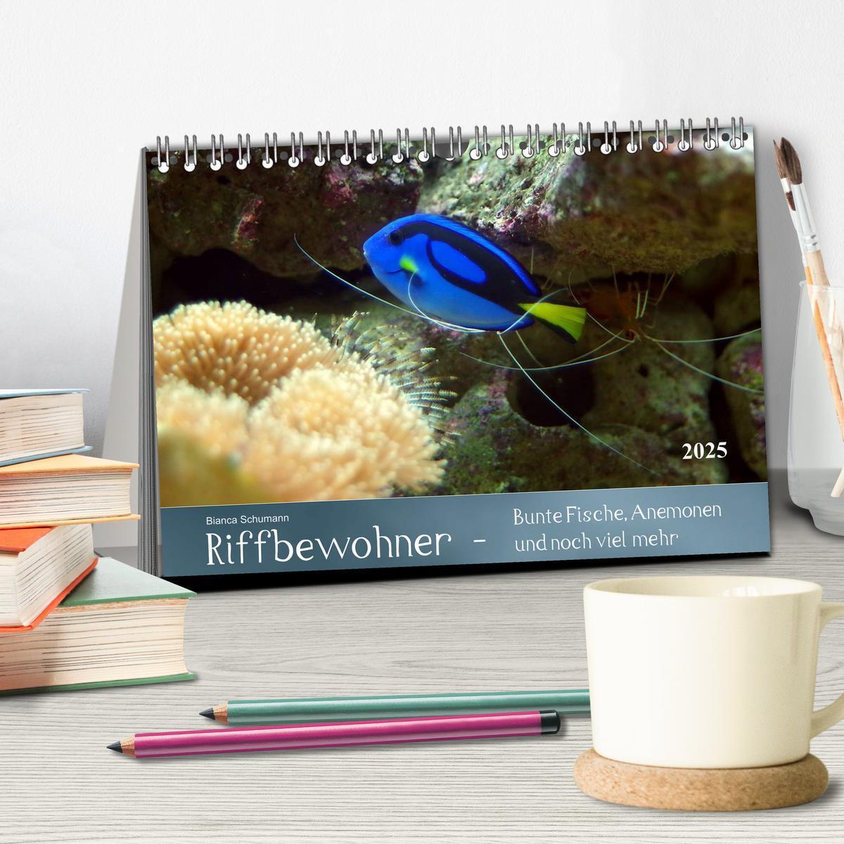 Bild: 9783435689866 | Riffbewohner - Bunte Fische, Anemonen und noch viel mehr...