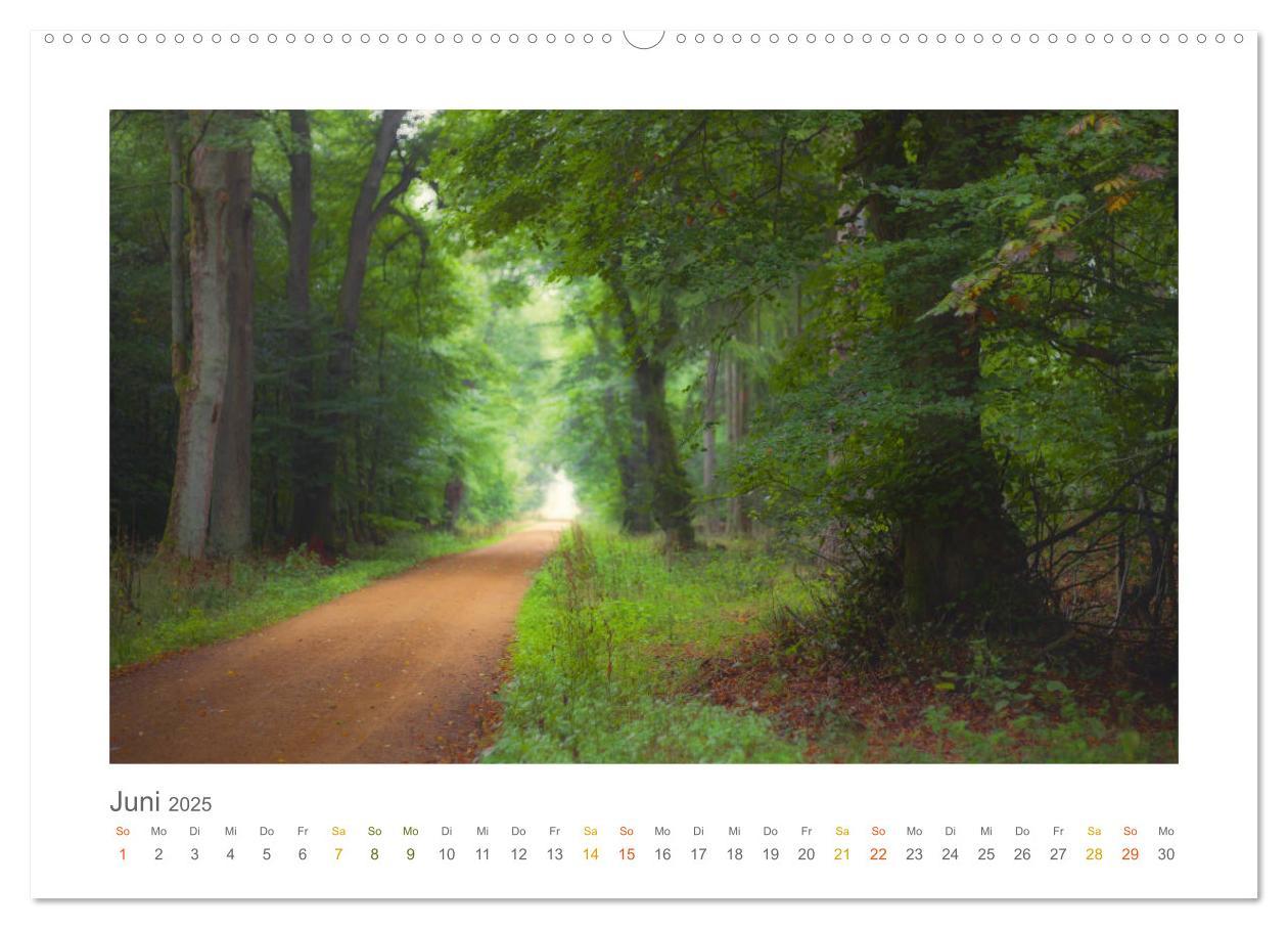 Bild: 9783435411092 | Im Märchenwald des Untertaunus (hochwertiger Premium Wandkalender...