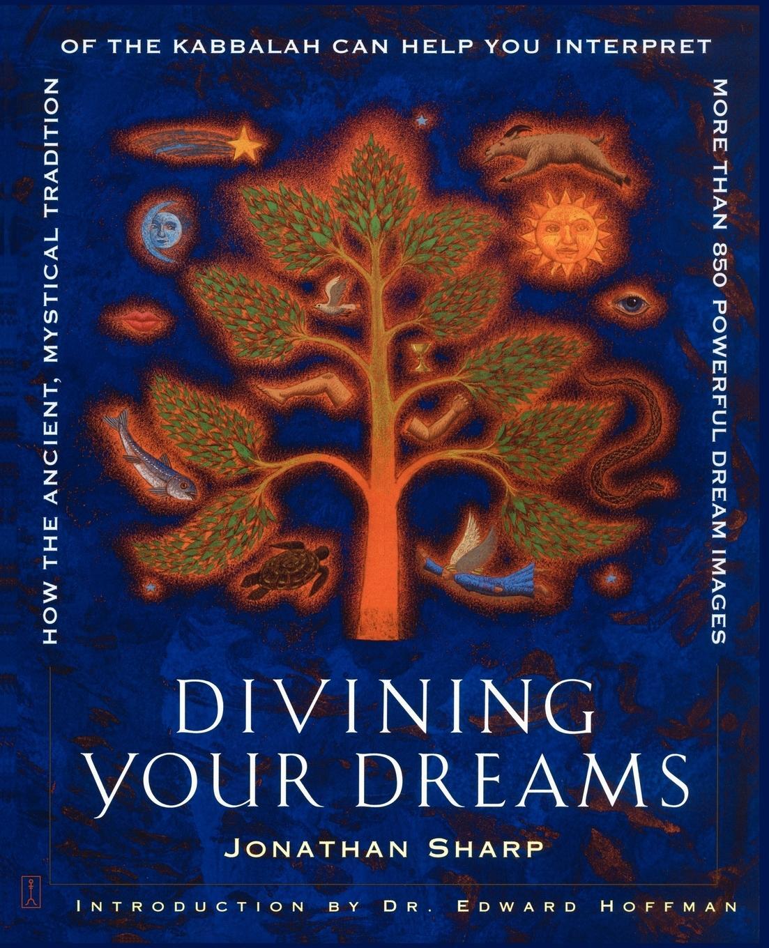 Cover: 9780743229418 | Divining Your Dreams | Jonathan Sharp | Taschenbuch | Paperback | 2002