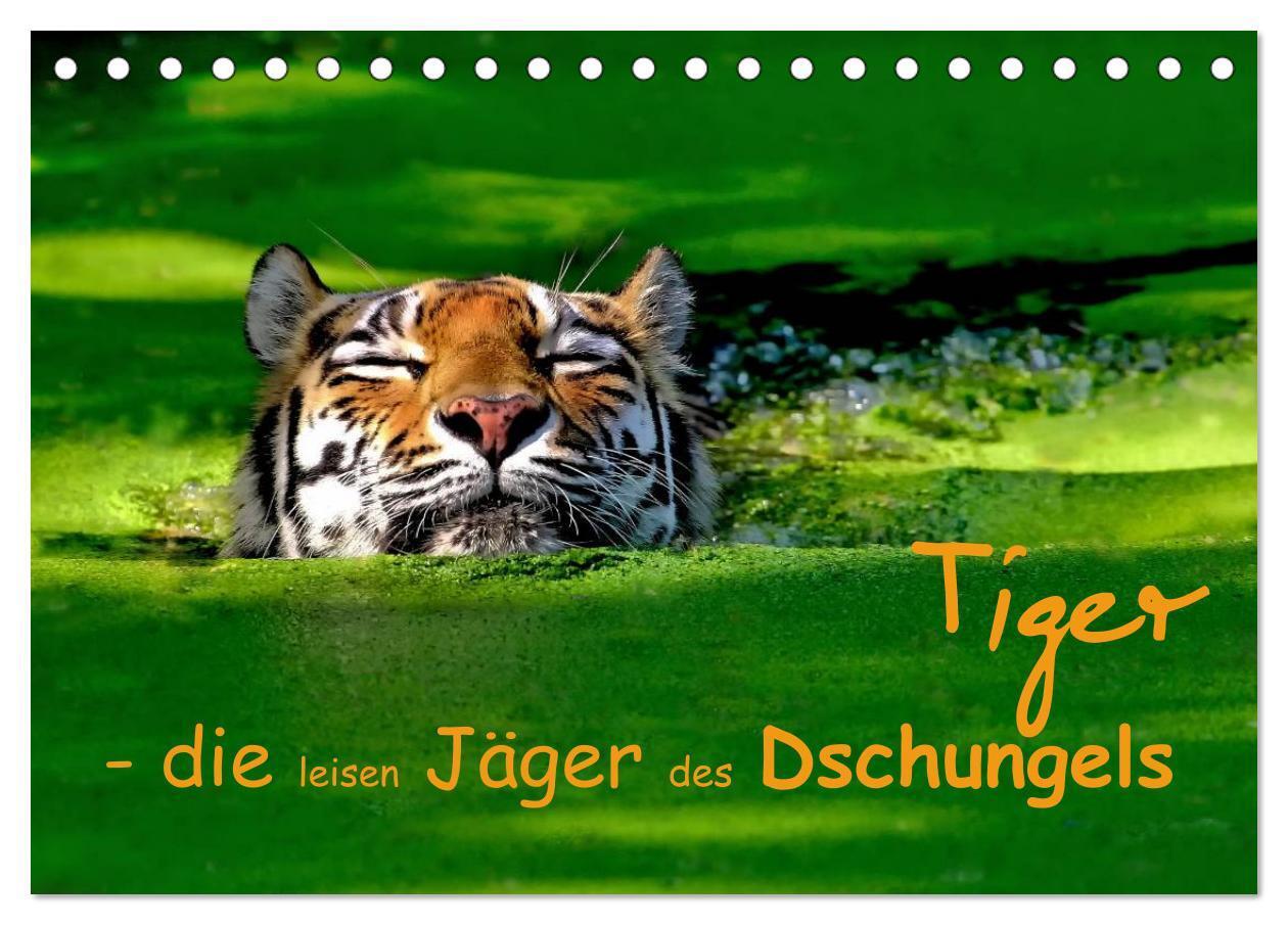 Cover: 9783435832361 | Tiger - die leisen Jäger des Dschungels (Tischkalender 2025 DIN A5...