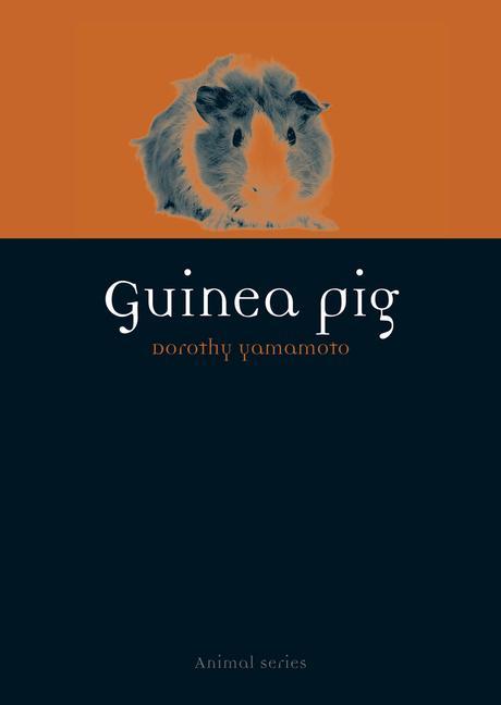 Cover: 9781780234267 | Guinea Pig | Dorothy Yamamoto | Taschenbuch | Animal | Englisch | 2015