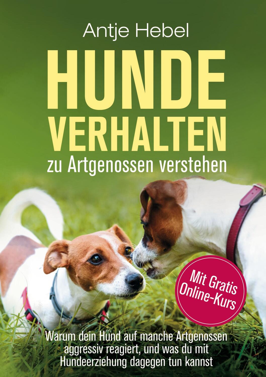 Cover: 9783756273935 | Hundeverhalten zu Artgenossen verstehen | Antje Hebel | Buch