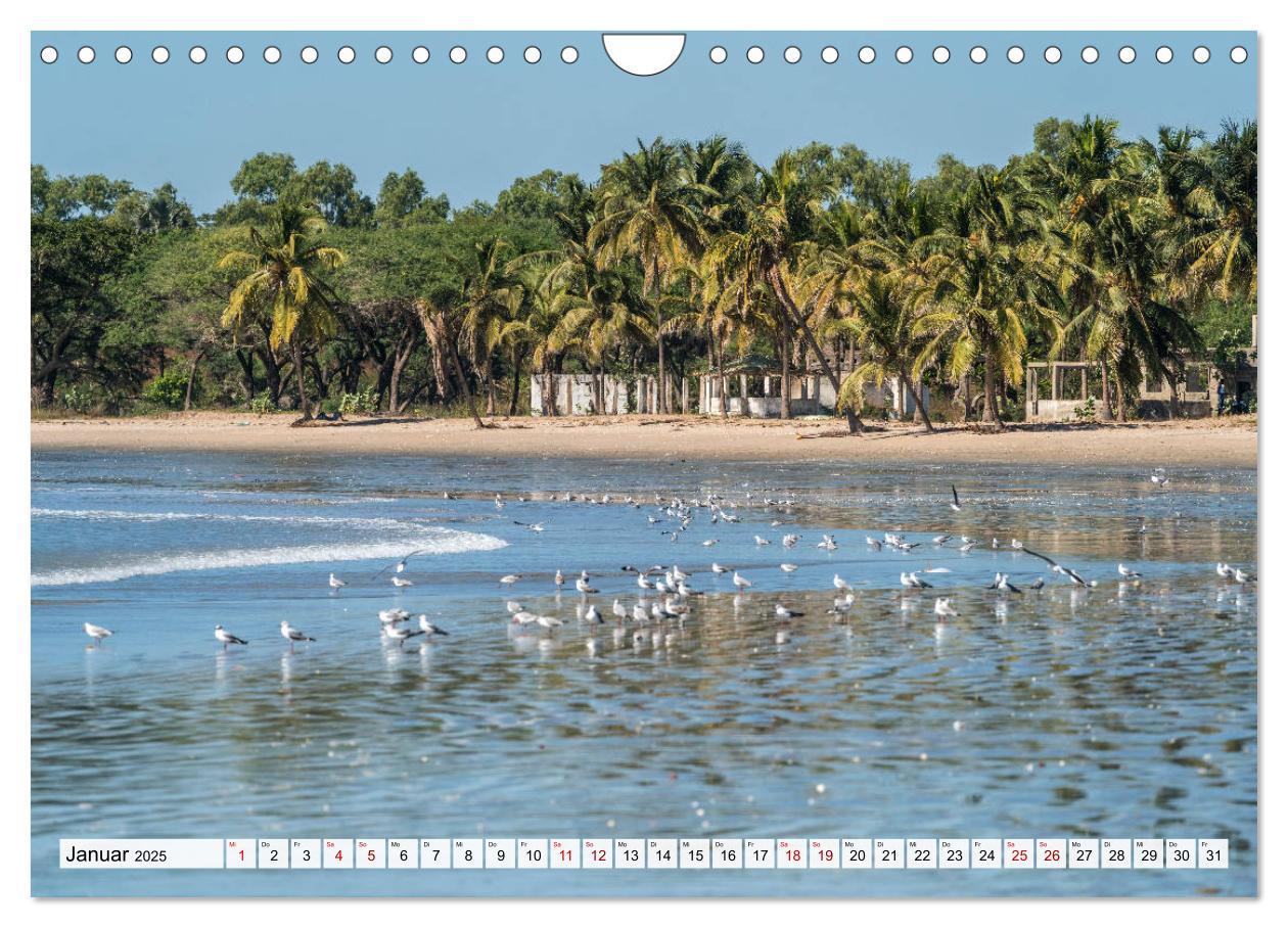 Bild: 9783435150311 | Traumstrände in Gambia (Wandkalender 2025 DIN A4 quer), CALVENDO...