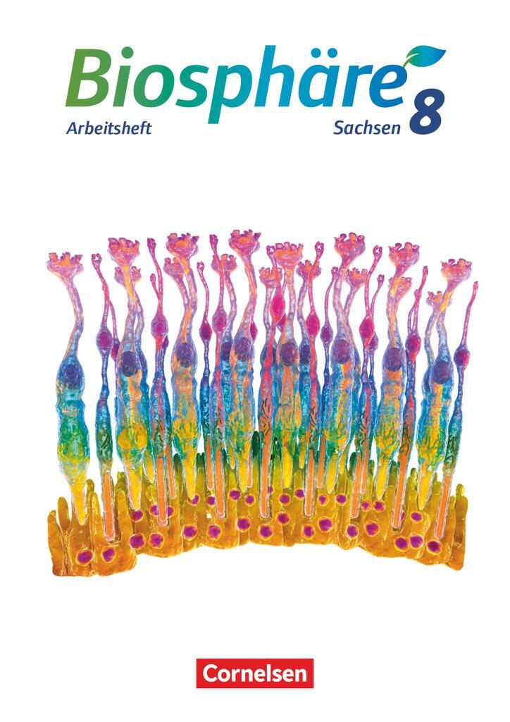 Cover: 9783064202818 | Biosphäre Sekundarstufe I - 8. Schuljahr - Gymnasium Sachsen 2020 -...
