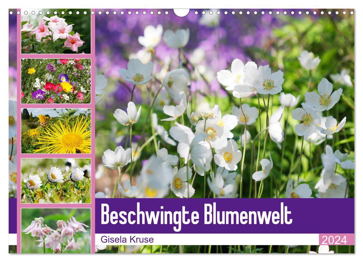 Cover: 9783675958524 | Beschwingte Blumenwelt (Wandkalender 2024 DIN A3 quer), CALVENDO...