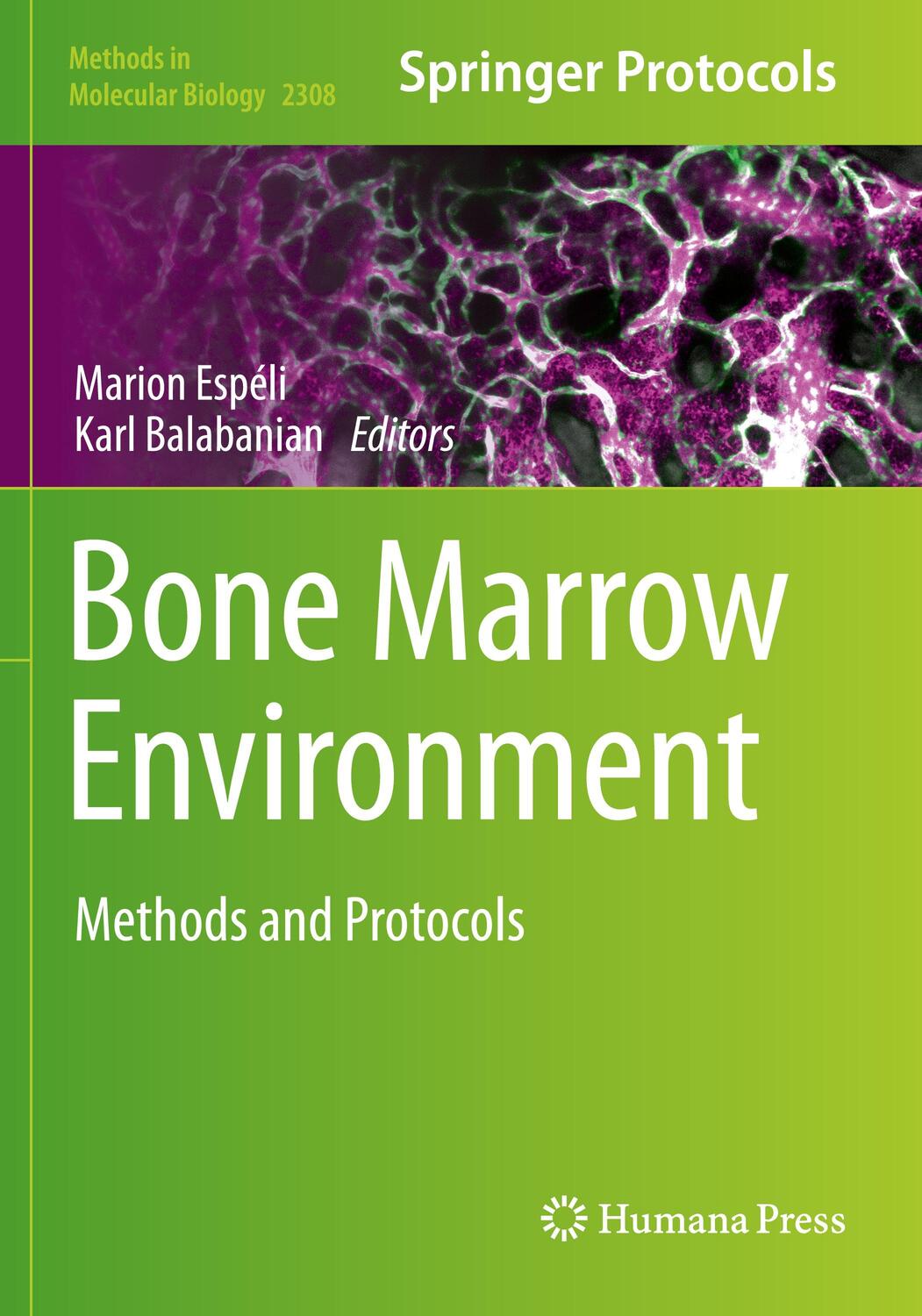 Cover: 9781071614273 | Bone Marrow Environment | Methods and Protocols | Balabanian (u. a.)