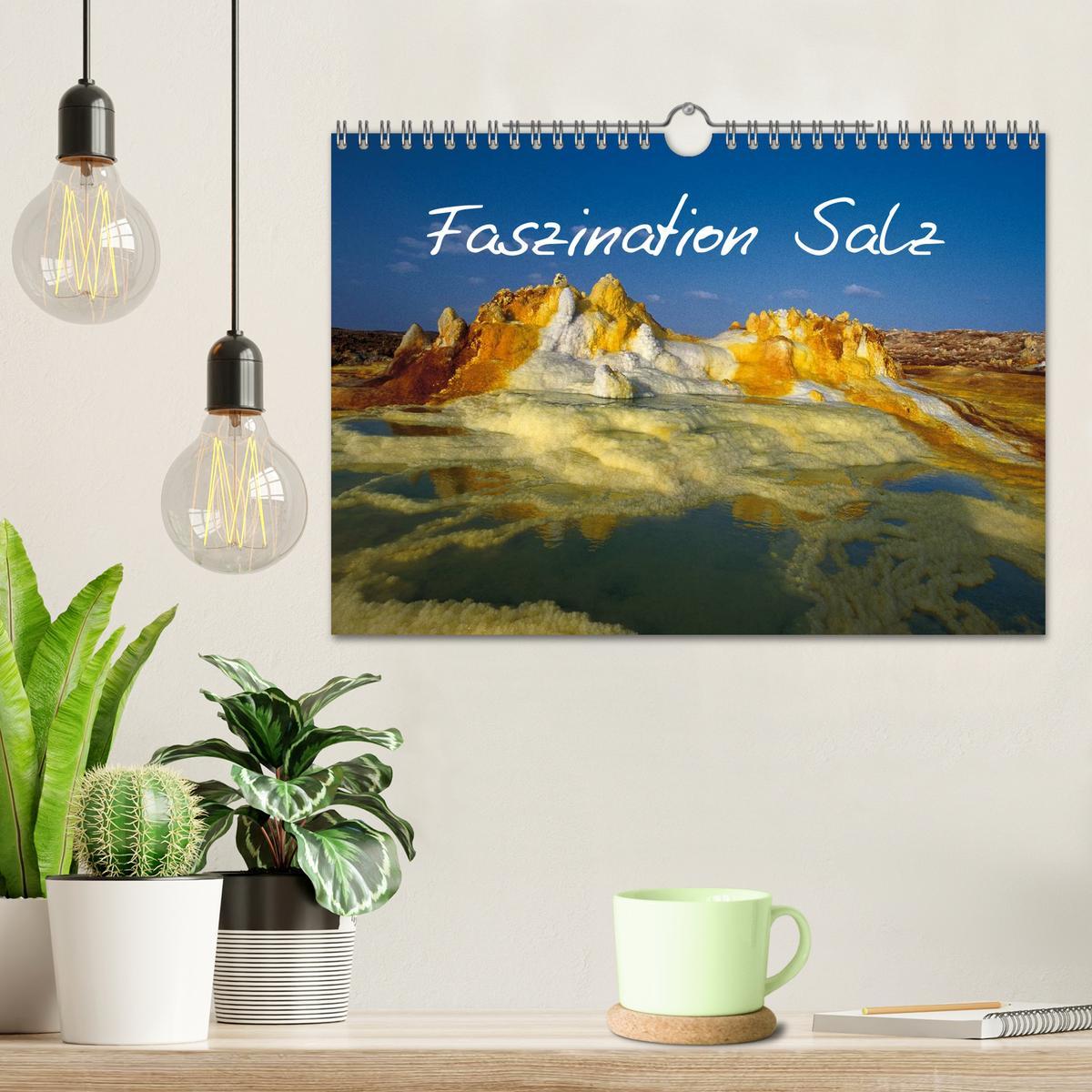 Bild: 9783435555437 | Faszination Salz (Wandkalender 2025 DIN A4 quer), CALVENDO...