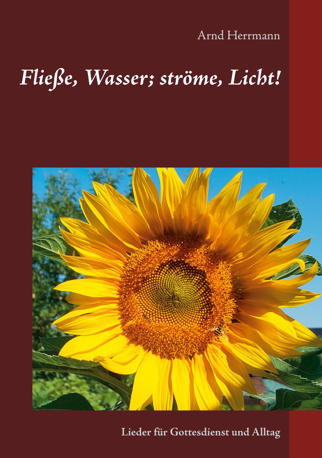 Cover: 9783753402352 | Fließe, Wasser; ströme, Licht! | Lieder für Gottesdienst und Alltag