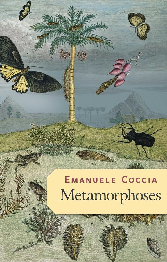 Cover: 9781509545674 | Metamorphoses | Emanuele Coccia | Taschenbuch | 180 S. | Englisch