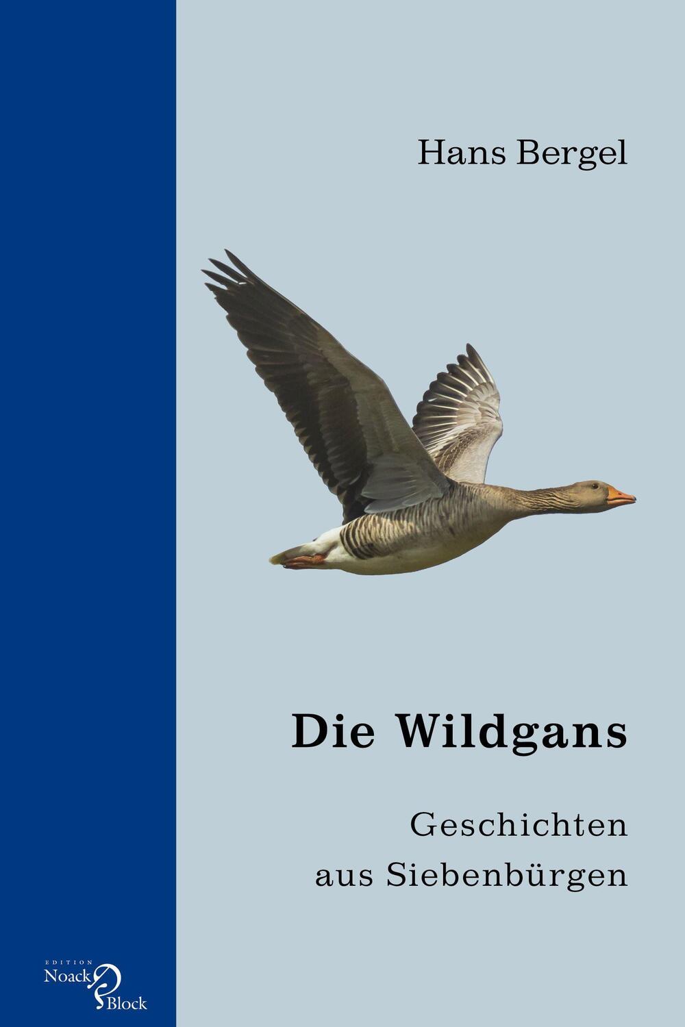 Cover: 9783868131345 | Die Wildgans | Geschichten aus Siebenbürgen | Hans Bergel | Buch