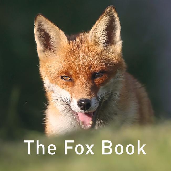 Cover: 9781910862551 | The Fox Book | Russ Jane | Buch | Nature Book | Englisch | 2017