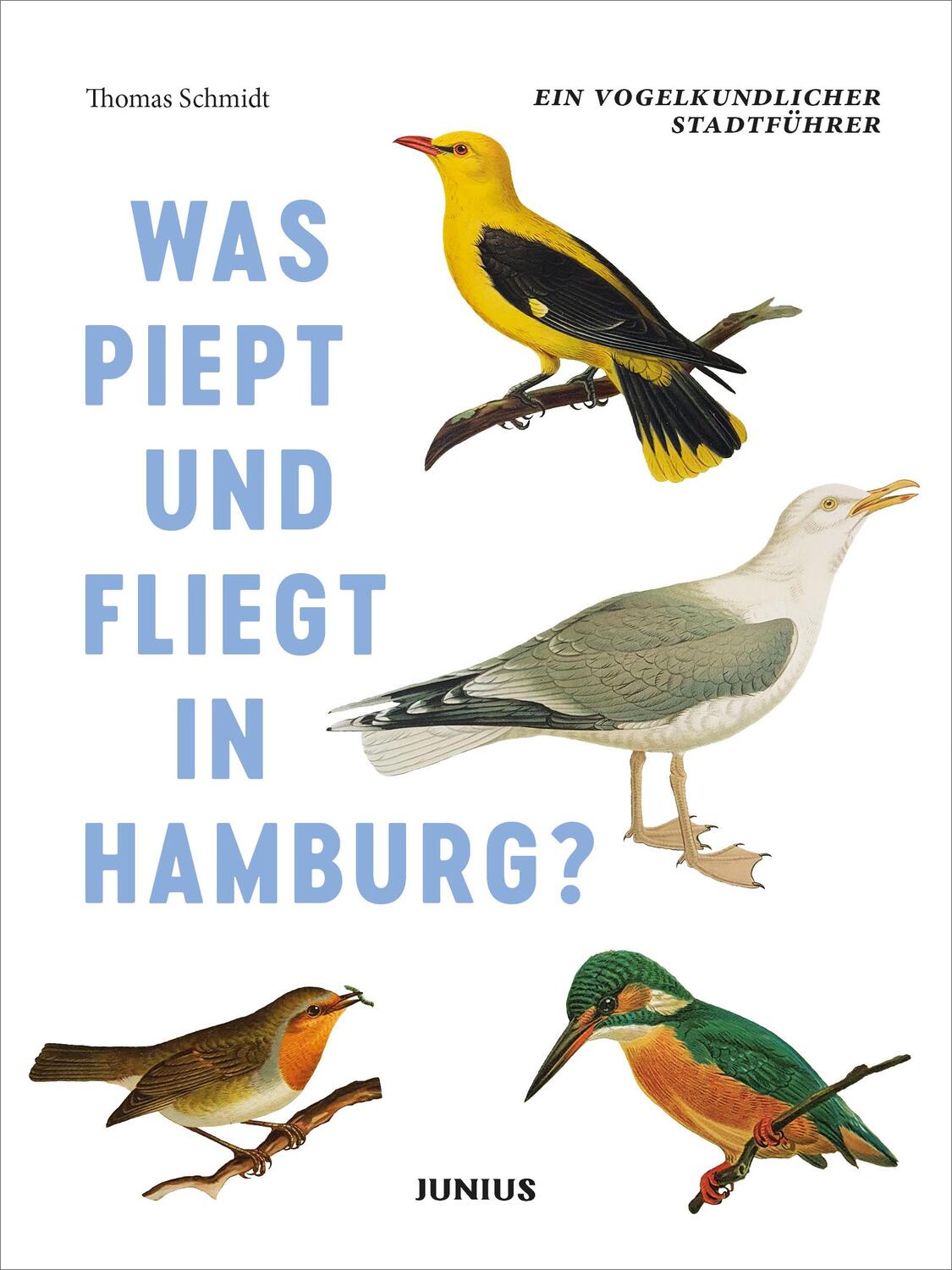 Cover: 9783885067795 | Was piept und fliegt in Hamburg? | Ein vogelkundlicher Stadtführer