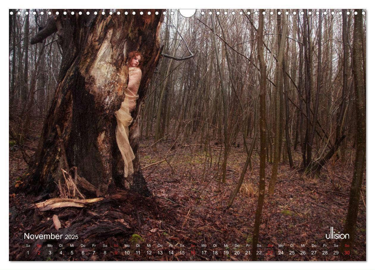 Bild: 9783435337491 | ZAUBERWALD Mystik der Natur (Wandkalender 2025 DIN A3 quer),...