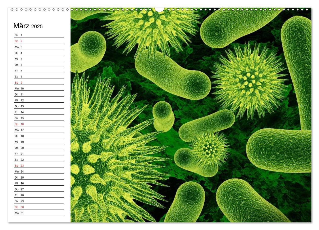 Bild: 9783435482962 | Mikrobiologie. Mikroorganismen, Genetik und Zellen (Wandkalender...