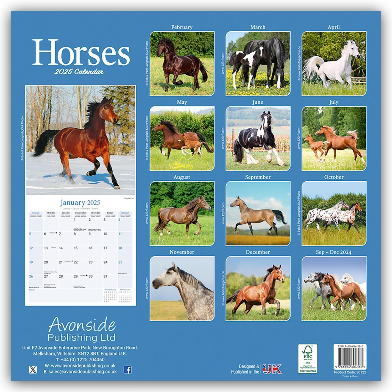 Rückseite: 9781804604380 | Horses - Pferde 2025 - 16-Monatskalender | Avonside Publishing Ltd