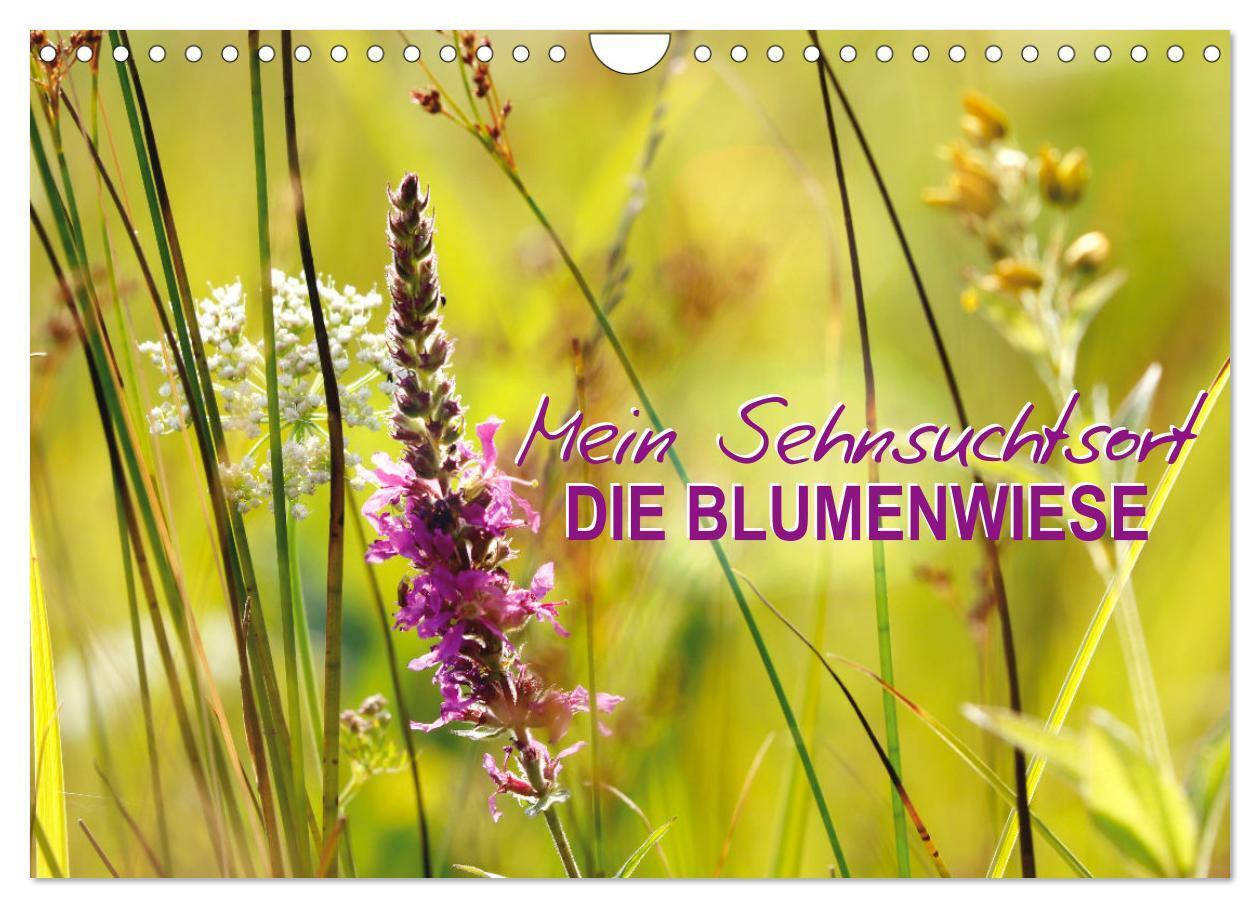 Cover: 9783435078158 | Mein Sehnsuchtsort, die Blumenwiese (Wandkalender 2025 DIN A4...