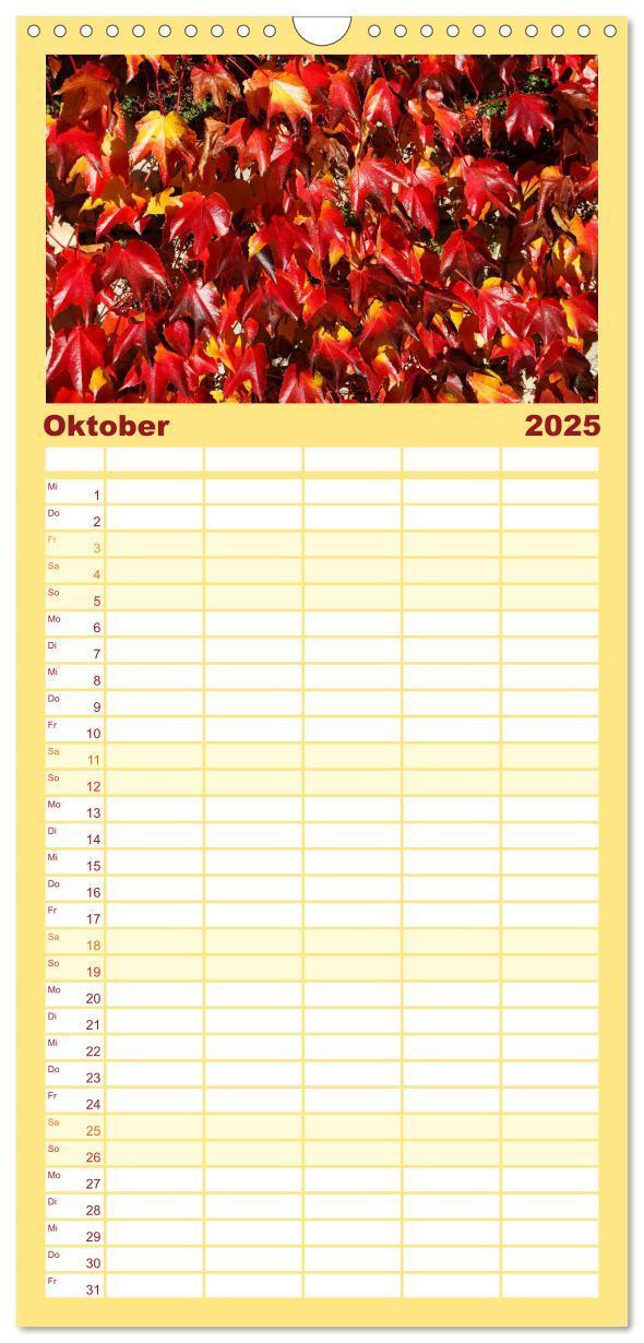 Bild: 9783457105207 | Familienplaner 2025 - Blätter mit 5 Spalten (Wandkalender, 21 x 45...