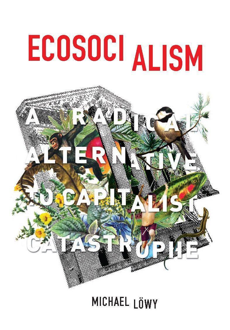 Cover: 9781608464715 | Ecosocialism | A Radical Alternative to Capitalist Catastrophe | Lowy