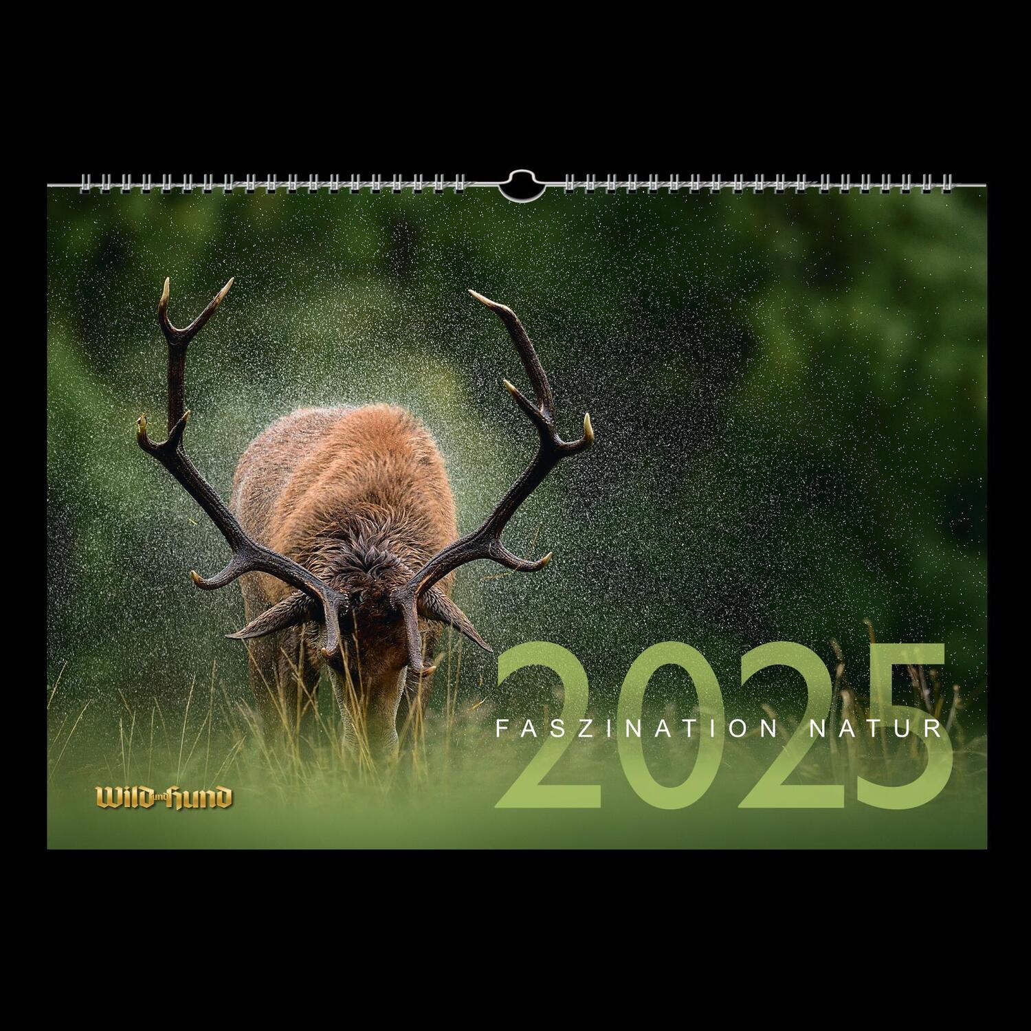 Cover: 9783897152731 | Faszination Natur Kalender 2025 | WILD UND HUND | HUND | Kalender