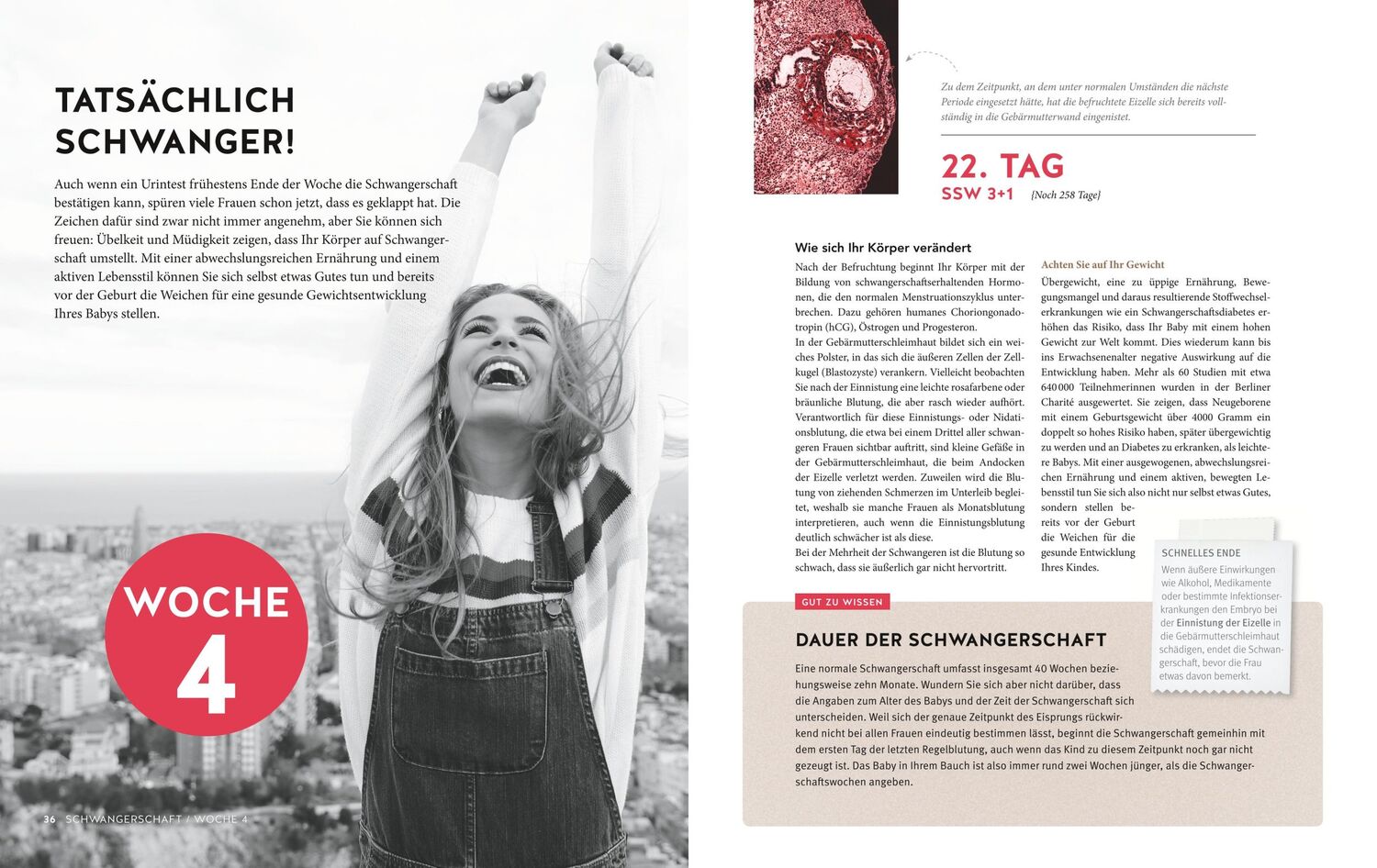 Bild: 9783833874833 | Tag für Tag durch meine Schwangerschaft | Silvia Höfer (u. a.) | Buch