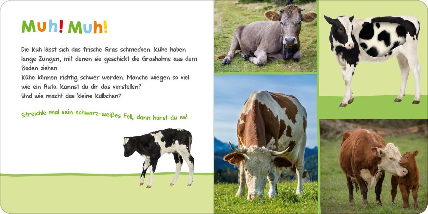 Bild: 9783845829395 | Hör mal rein, wer kann das sein? Auf der Weide | Buch | 12 S. | 2018