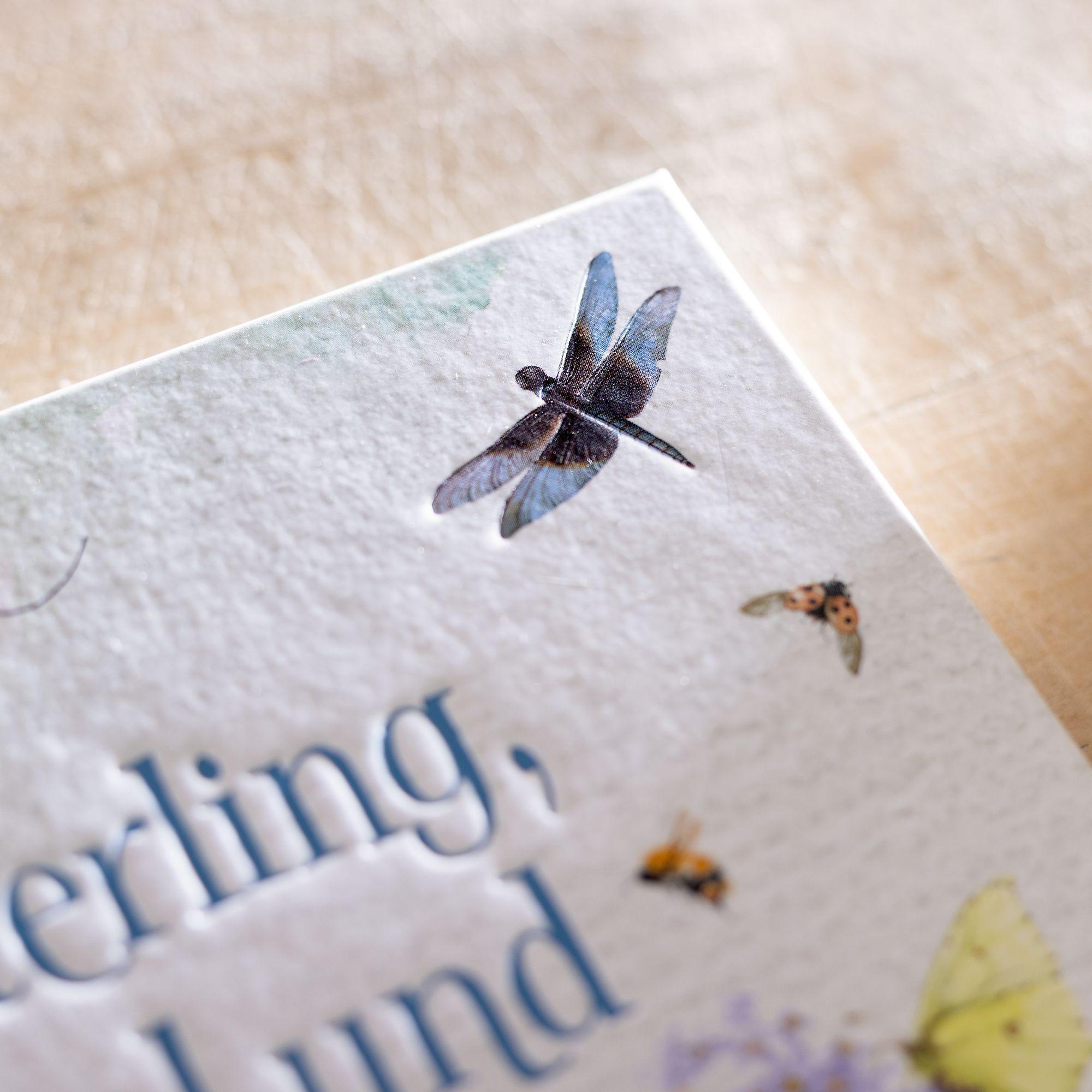 Bild: 9783649644736 | Schmetterling, Hummel und Maikäfer | Stefanie Zysk | Buch | 144 S.