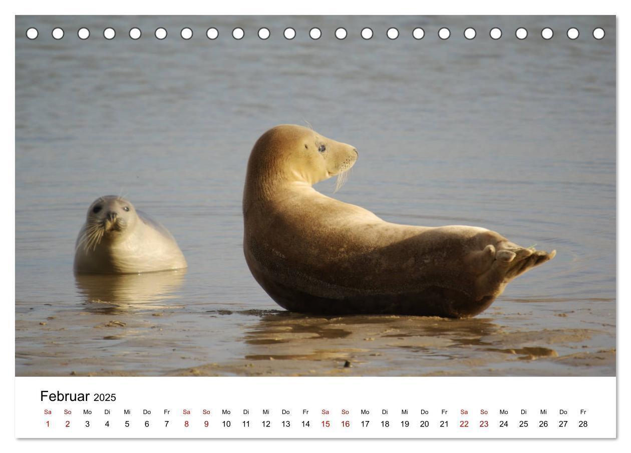 Bild: 9783435388707 | Deutsche Hochseeinsel Helgoland (Tischkalender 2025 DIN A5 quer),...