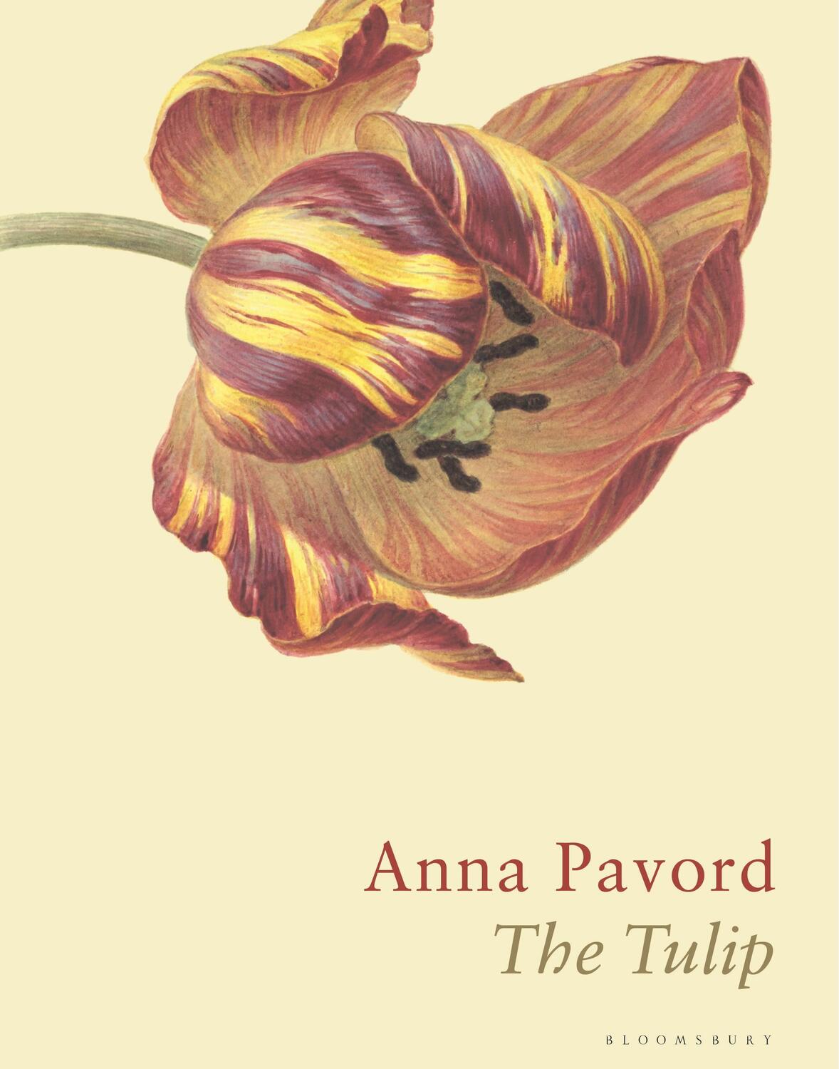 Cover: 9781526602688 | The Tulip | The Story of a Flower That Has Made Men Mad | Anna Pavord