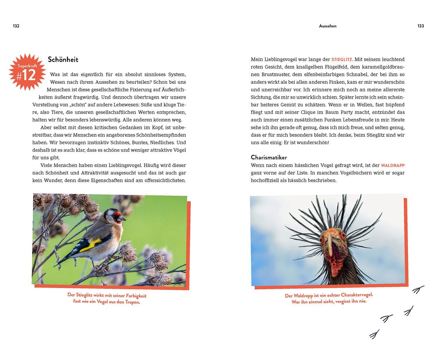 Bild: 9783440176702 | Die Superkräfte der Vögel | Silke Hartmann | Taschenbuch | 192 S.