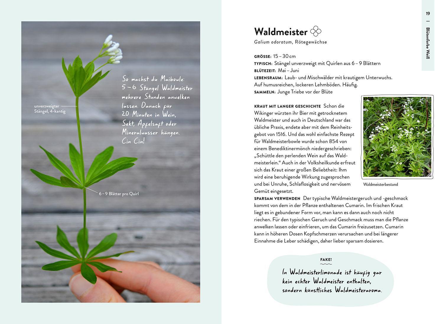 Bild: 9783440177488 | Nature Guide Wildpflanzen | Theresa Ester | Taschenbuch | 160 S.
