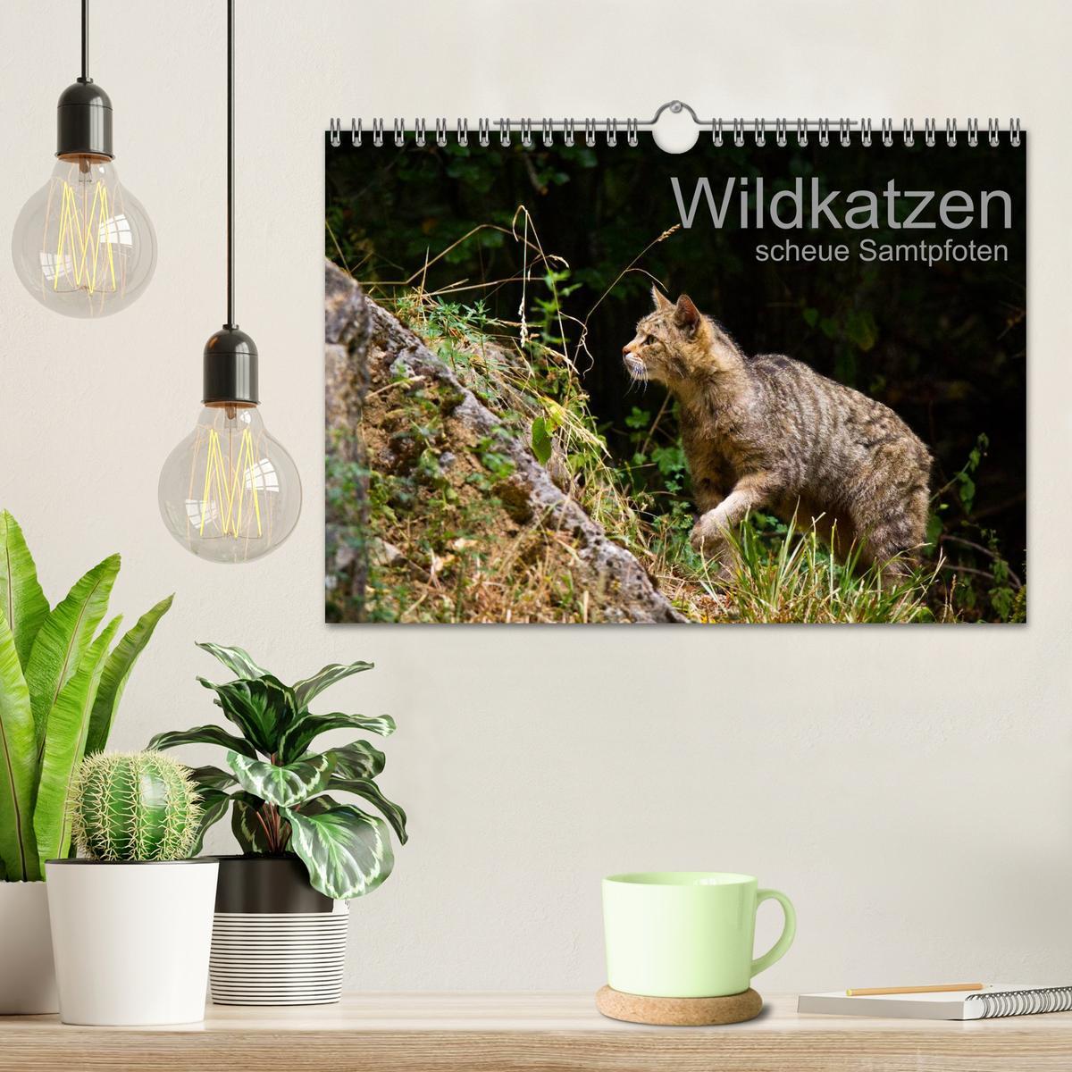 Bild: 9783435391615 | Wildkatzen - scheue Samtpfoten (Wandkalender 2025 DIN A4 quer),...