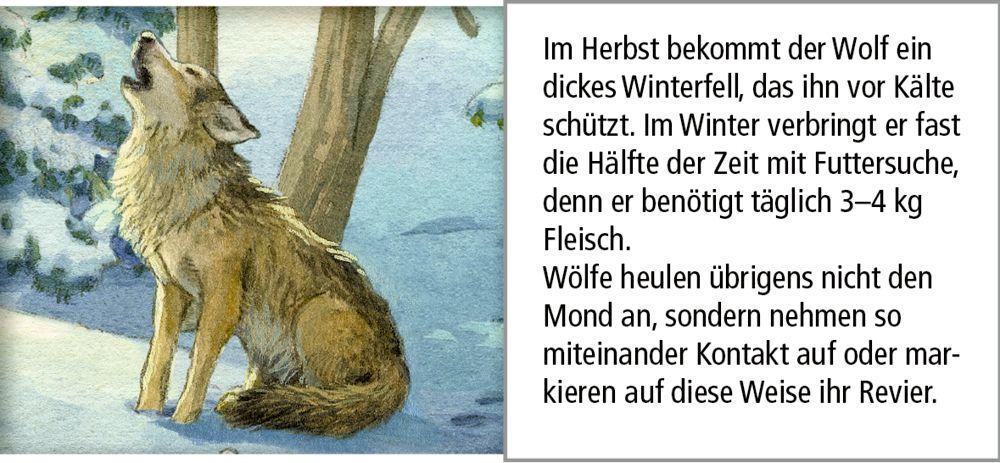 Bild: 4050003722573 | Sound-Adventskalender - Hört ihr die Tiere im Winterwald? | Ute Simon