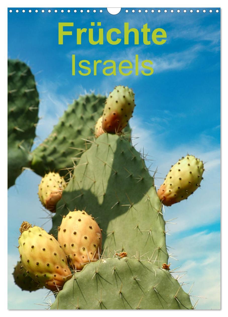 Cover: 9783435934287 | Früchte Israels (Wandkalender 2025 DIN A3 hoch), CALVENDO...