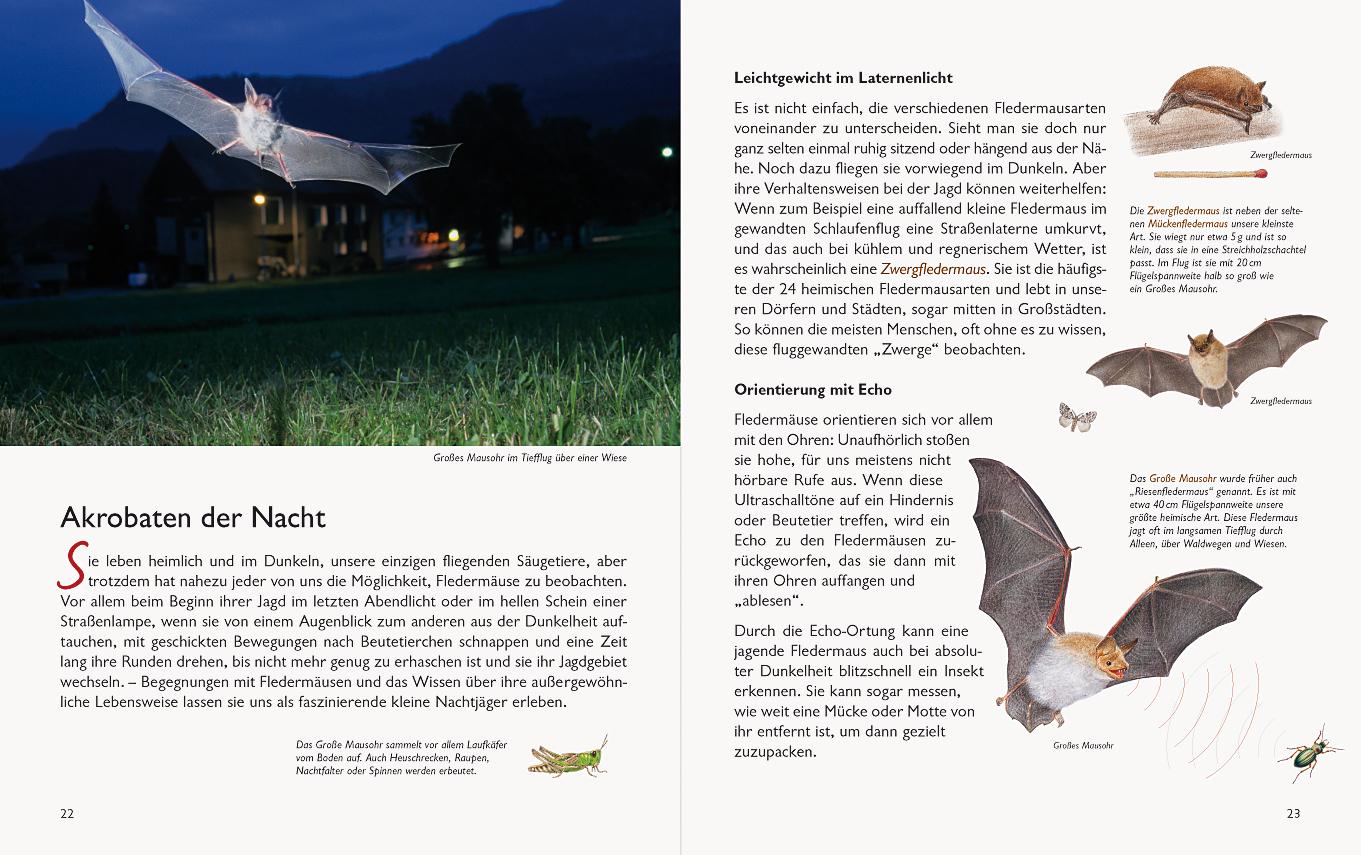 Bild: 9783981548570 | Wawra's Naturbuch, Band 1: Säugetiere, Vögel, Reptilien, Amphibien