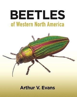 Cover: 9780691164281 | Beetles of Western North America | Arthur V. Evans | Taschenbuch