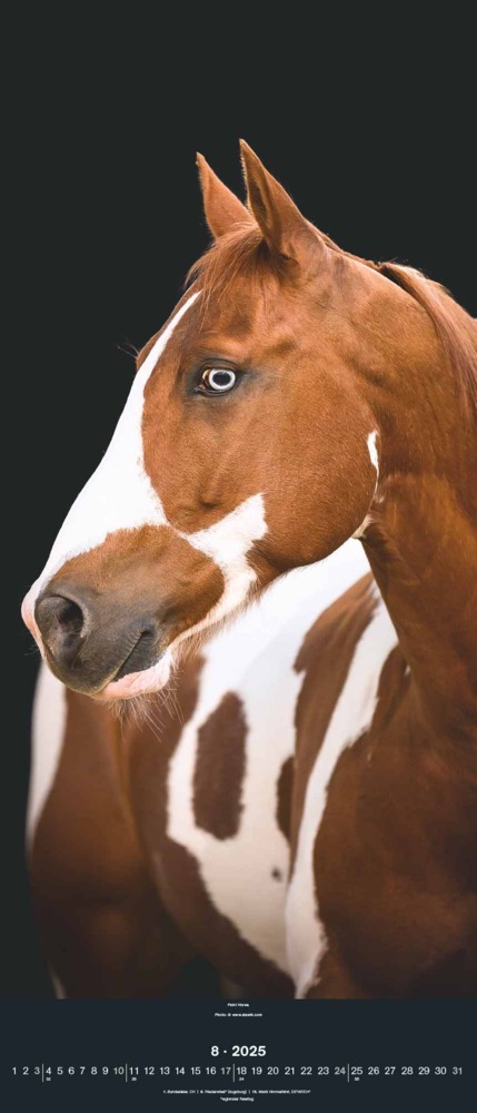 Bild: 4002725994202 | N NEUMANNVERLAGE - Beautiful Horses 2025 Wandkalender, 30x70cm,...