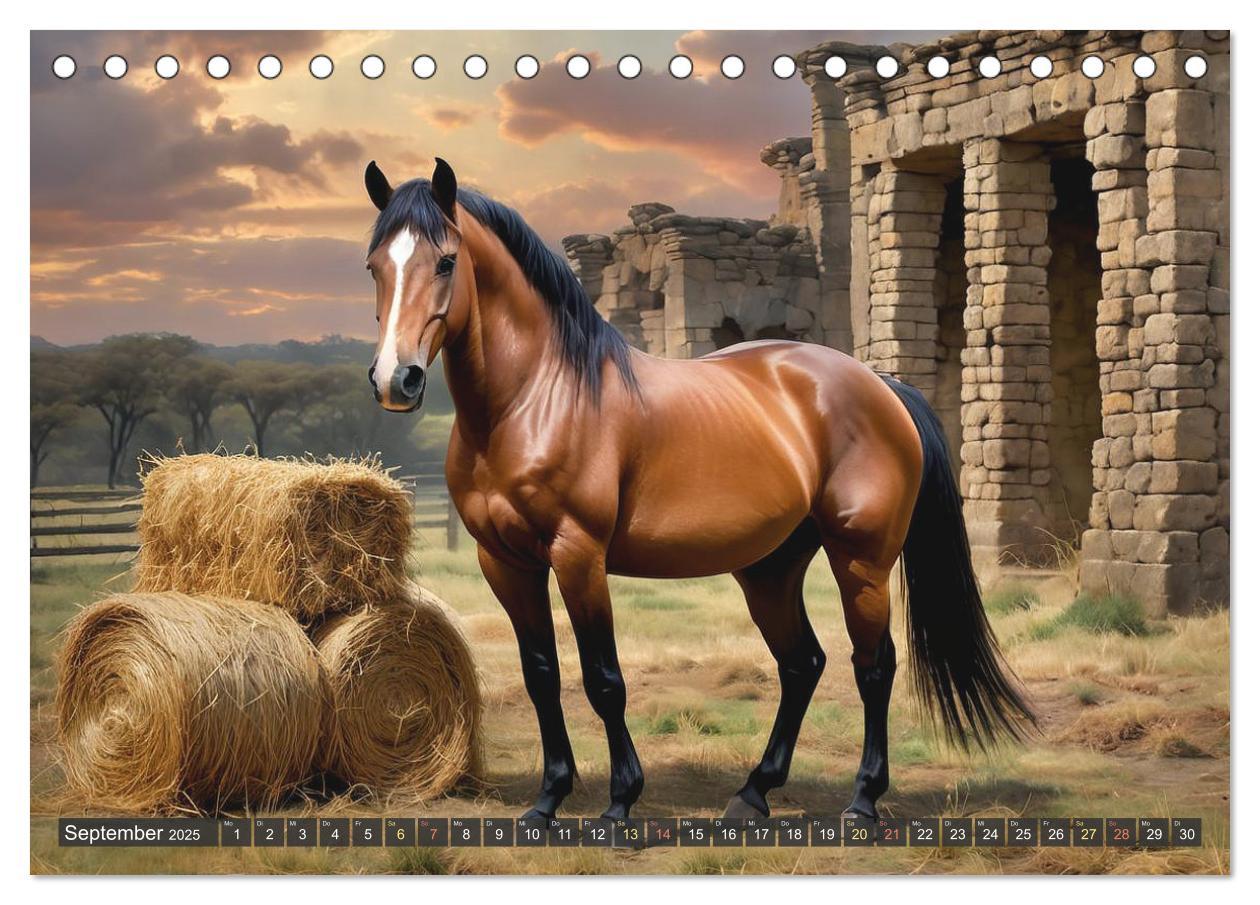 Bild: 9783457171042 | Schöne wilde Mustangs (Tischkalender 2025 DIN A5 quer), CALVENDO...