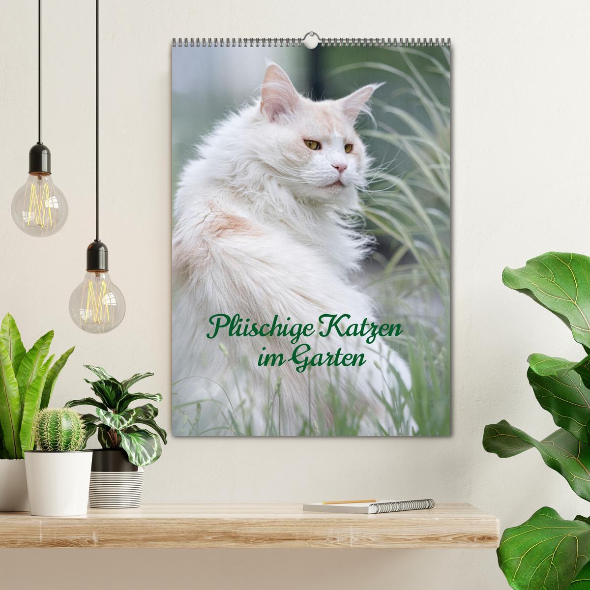 Bild: 9783435891245 | Plüschige Katzen im Garten (Wandkalender 2025 DIN A2 hoch),...