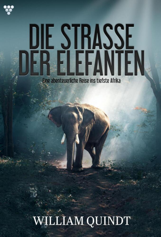 Cover: 9783740937485 | Die Straße der Elefanten | William Quindt | Taschenbuch | 296 S.